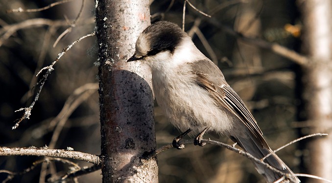Image courtesy of Tourism Saskatchewan/Greg Huszar Photography&nbsp; &nbsp;