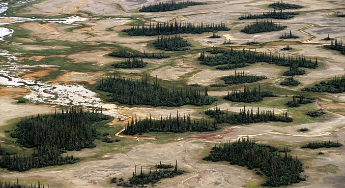 Wood Buffalo Country