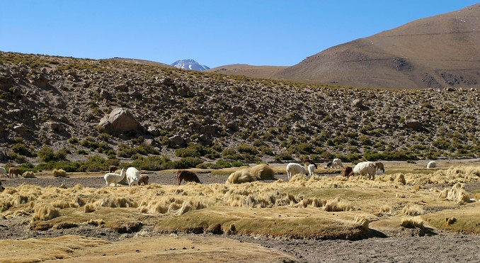 Image courtesy of PhotoJoy