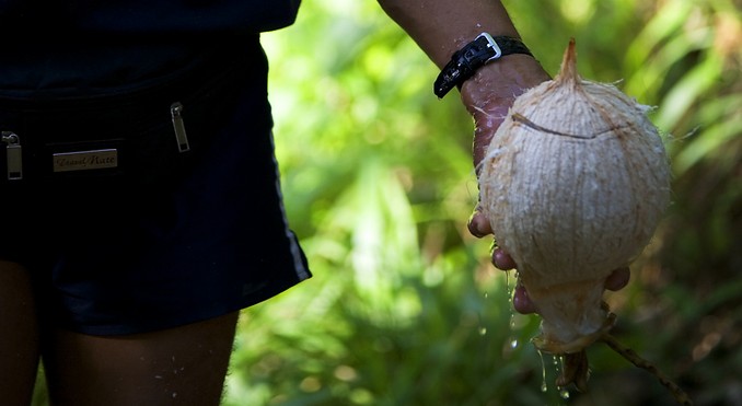 Image courtesy of Cook Islands Tourism