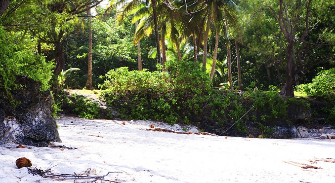 Image courtesy of Cook Islands Tourism