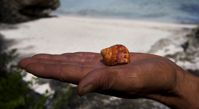 Image courtesy of Cook Islands Tourism