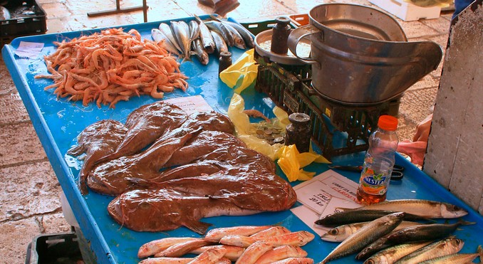 Split Fish Markets