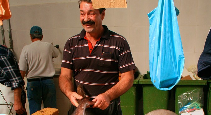 Split Fish Markets