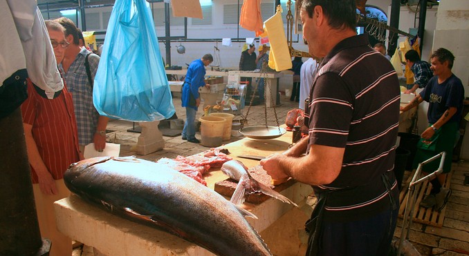 Split Fish Markets