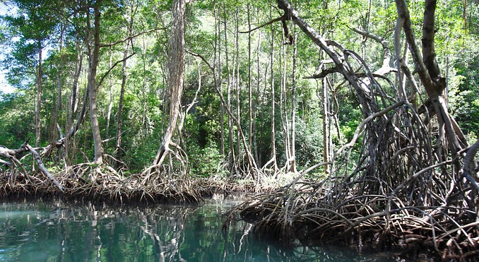 Image courtesy of Ministry of Tourism of the Dominican Republic