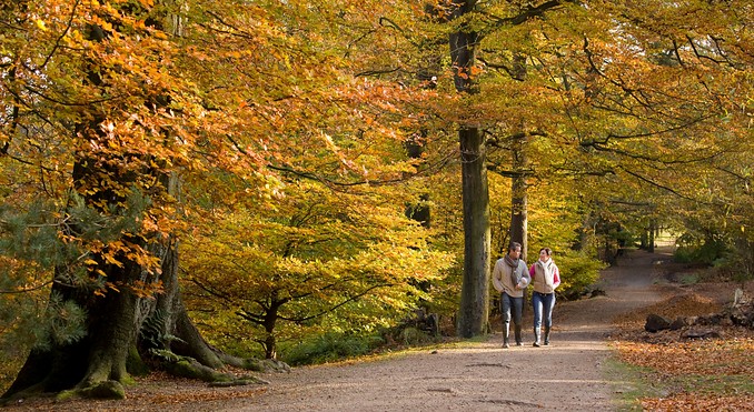 Alderley Edge