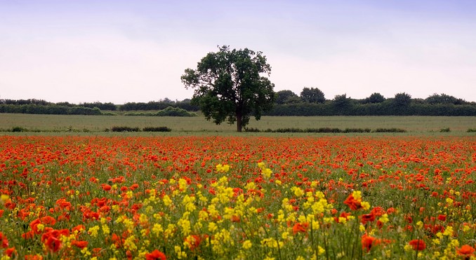 Baldock