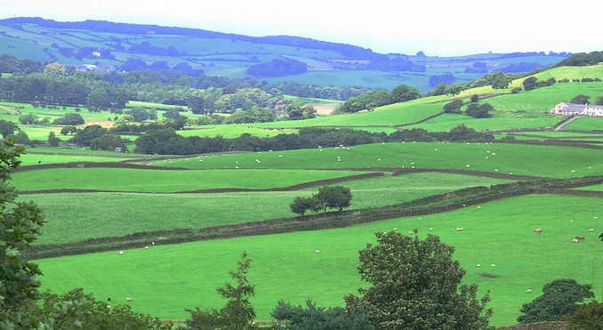 Forest Of Bowland