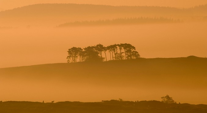 Hadrian's Wall Country