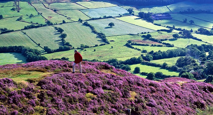 North York Moors