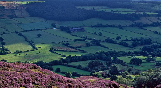 North York Moors
