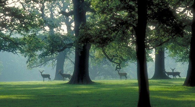 Woburn