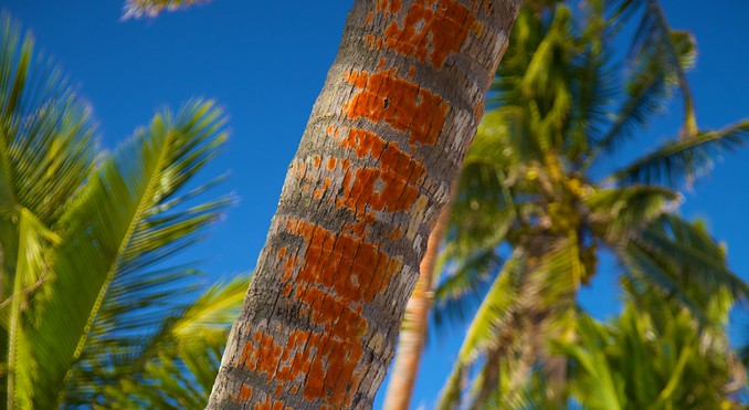 Image courtesy of Tourism Media