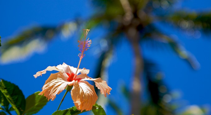 Image courtesy of Tourism Media