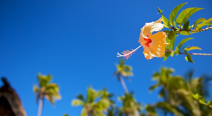 Image courtesy of Tourism Media