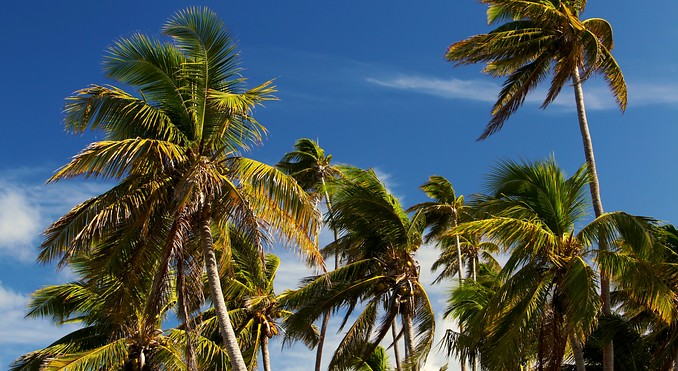 Nacula Island
