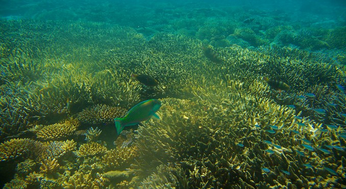 Image courtesy of Tourism Media
