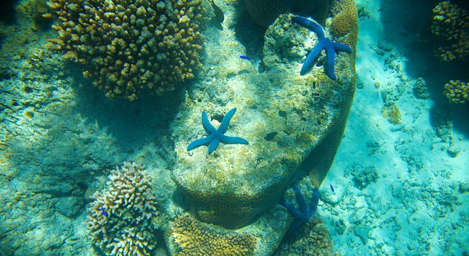 Image courtesy of Tourism Media