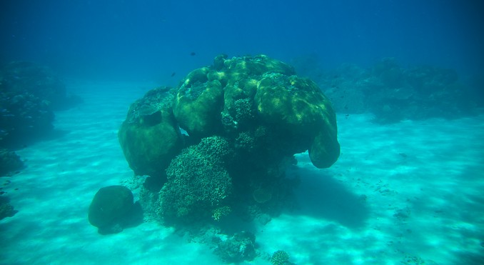 Image courtesy of Tourism Media