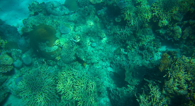 Image courtesy of Tourism Media