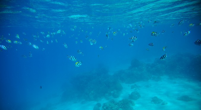 Image courtesy of Tourism Media