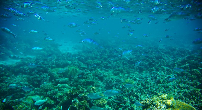 Image courtesy of Tourism Media
