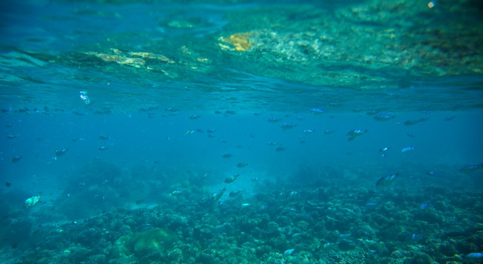 Image courtesy of Tourism Media