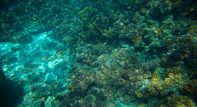 Image courtesy of Tourism Media