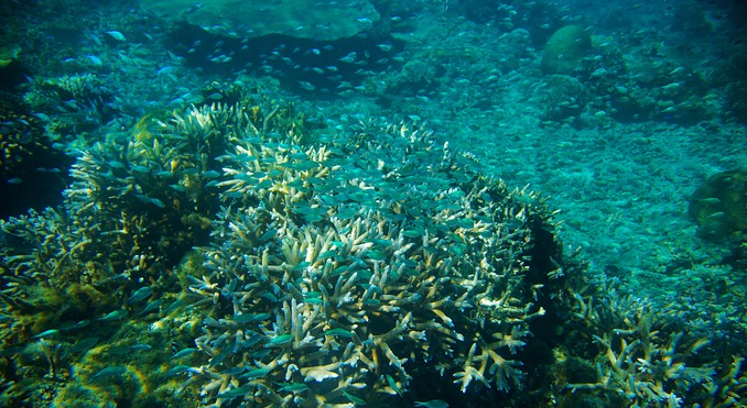 Image courtesy of Tourism Media