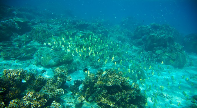 Image courtesy of Tourism Media