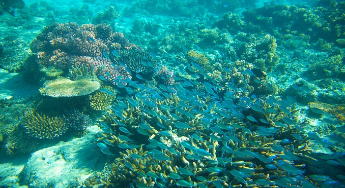 Image courtesy of Tourism Media