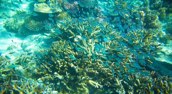 Image courtesy of Tourism Media