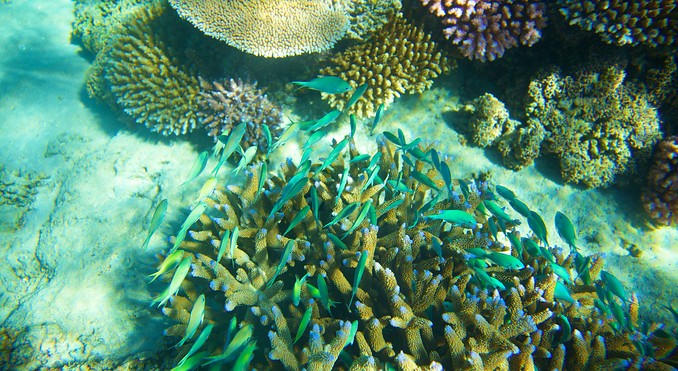Image courtesy of Tourism Media