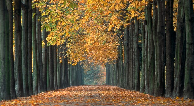 Image courtesy of German National Tourist Board