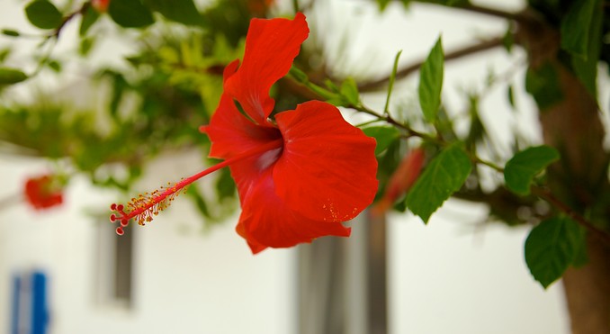 Image courtesy of Tourism Media