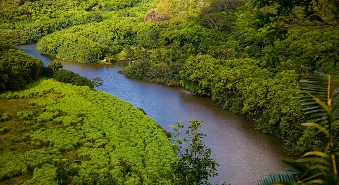Image courtesy of Hawaii Visitors and Convention Bureau