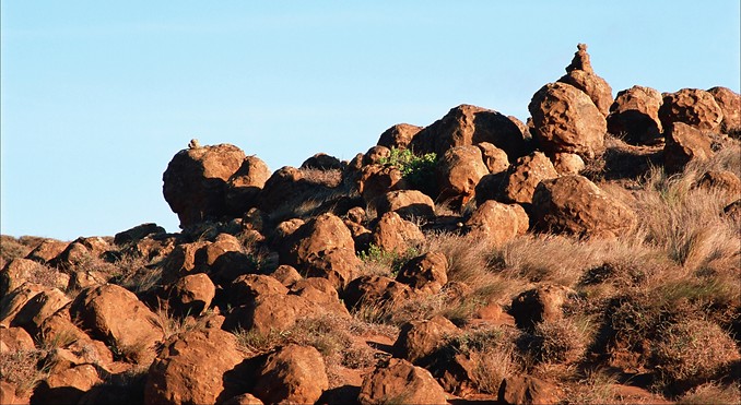 Image courtesy of Hawaii Visitors and Convention Bureau
