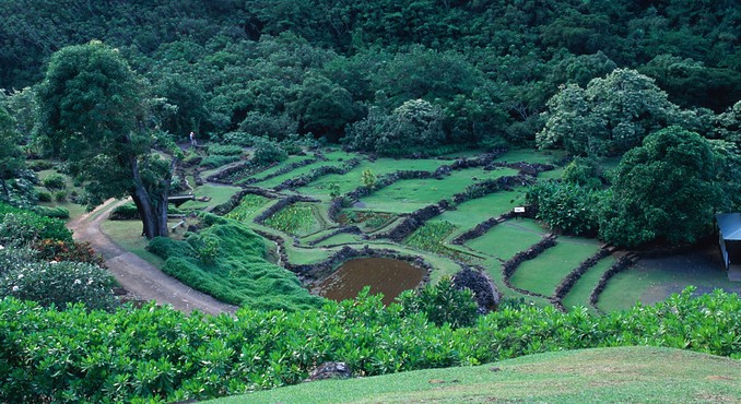 Image courtesy of Hawaii Visitors and Convention Bureau