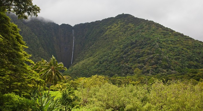 Image courtesy of Hawaii Visitors and Convention Bureau