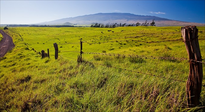 Image courtesy of Hawaii Visitors and Convention Bureau