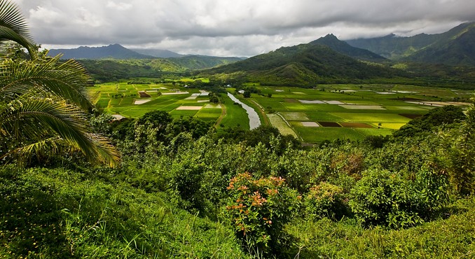 Image courtesy of Hawaii Visitors and Convention Bureau