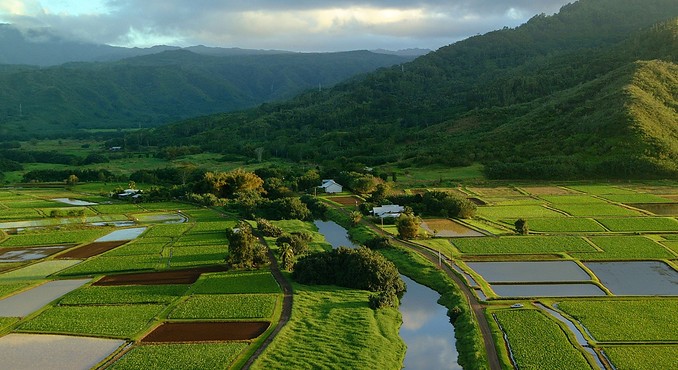 Image courtesy of Hawaii Visitors and Convention Bureau
