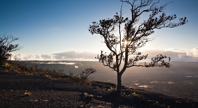 Image courtesy of Hawaii Visitors and Convention Bureau