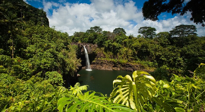 Image courtesy of Hawaii Visitors and Convention Bureau
