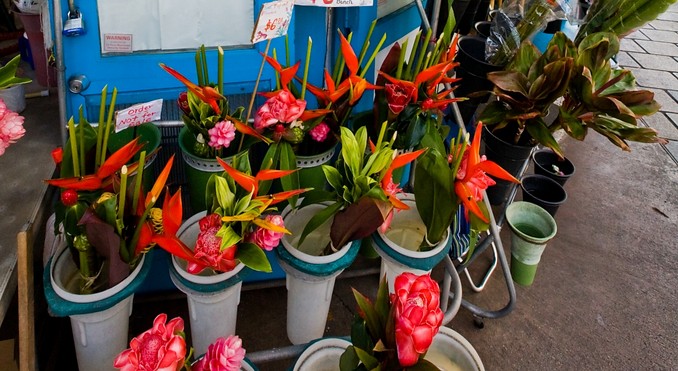 Image courtesy of Hawaii Visitors and Convention Bureau