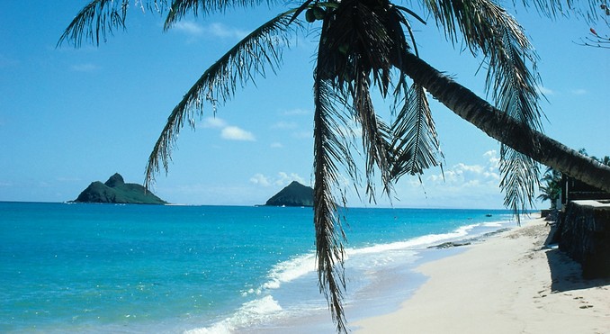 Image courtesy of Hawaii Visitors and Convention Bureau