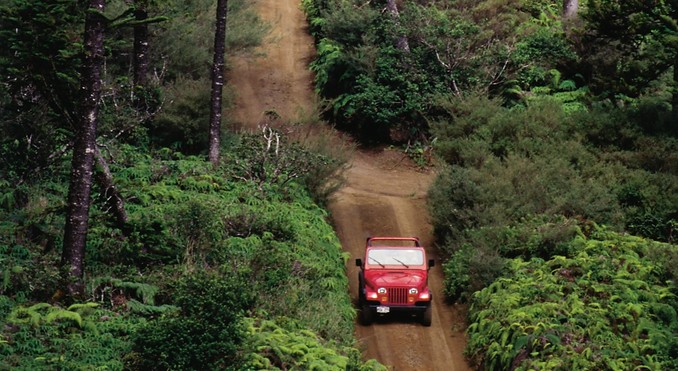 Image courtesy of Hawaii Visitors and Convention Bureau