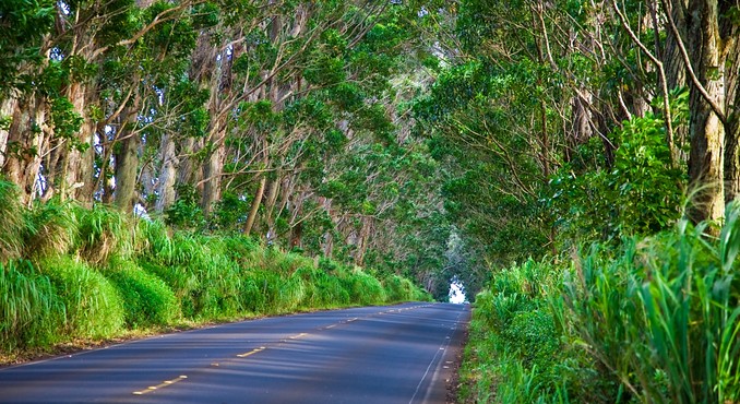 Image courtesy of Hawaii Visitors and Convention Bureau