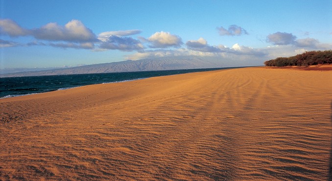 Image courtesy of Hawaii Visitors and Convention Bureau